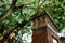 under the tree canopy and abandon concrete structure