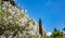 Under view of blur Parthenon, rock of Acropolis, Athens, Greece. Nature surrounds the ancient monument,  blue sky background