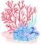 Under water. Colorful corals