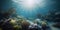 Under the water. Underwater panorama with coral reefs and fishes. Background. Underwater scene - tropical seabed with