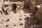 Underfloor at public baths at Aptera, Crete