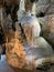 Undergound limestone caves 7