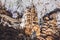 Underground cave, amazing scene , view of stalactites and stalagmite underground