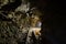 Underground gold mine tunnel passage