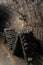 Underground tunnel with aging wine bottles and sparkling wine covered in dust and mold