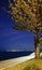 Underlit tree, path, stairs and ocean.