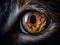 Underneath the Surface of a Cat\\\'s Eye