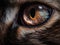 Underneath the Surface of a Cat\\\'s Eye