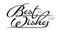 Underscore handwritten text "Best Wishes to you" with shadow. Hand drawn calligraphy lettering with copy space