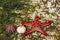 Undersea ocean wildlife, sea star fish and shell of sea urchin