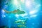 Undersea shark background