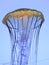 Underside of Jellyfish on blue background