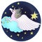 Understand horse pegasus unicorn in the starry sky