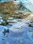 Underwater ancient column ruins at the Pamukkale Hot Springs, Turkey.