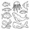 Underwater animals hand drawn set vector illustration. Aquatic fauna collection in doodle style. Marine life Isolated on