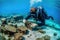 Underwater Archaeology Dive