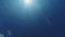 Underwater background with blinking sun rays in blue water