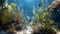 Underwater background - fish school on sea bottom