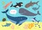 Underwater background with ocena giants. Whale, shark, squid, swordfish, dolphin, ocean turtle, shark. ocra. Undersea