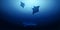 Underwater background with sun rays and silhouette of stingray or manta ray. Deep Ocean banner. Color vector illustration.