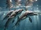 The underwater ballet of a group of synchronized dolphins in the morning