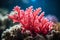 Underwater beautiful colorful dancing reef Anemone group coral tropical animal Anemonefish nature salt water fish tank