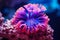 Underwater beautiful colorful dancing reef Anemone group coral tropical animal Anemonefish nature salt water fish tank