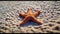 Underwater beauty in nature starfish, sand, and water generated by AI