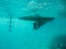 Underwater Boat Propeller in the Red Sea in Egypt