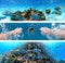 Underwater collage with diver swimming, exotic fishes and coral reef of the Red Sea