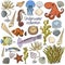 Underwater collection: shells, starfish, seaweed, deep sea fish, seahorse, jellyfish, octopus, squida