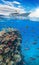 Underwater coral reef with horizon and water