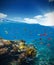 Underwater coral reef with horizon and water waves