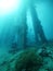 Underwater diver in the deep of the blue ocean with view of corals and fishes.