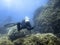 Underwater diver in underwater world