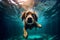 underwater dog snorkeling pool swimming vacation puppy funny fun water. Generative AI.