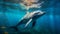 Underwater dolphin swimming diving photo. Marine aquatic wildlife photography nature sea. Nobody water waves sunlight