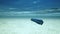 Underwater drone torpedo military arm sea ocean 3d