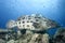 Underwater fish in Australia, a wonderful life, how strange it looks