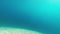 Underwater footage / fish