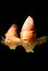 Underwater goldfish