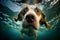 Underwater image of a dog swimming in water