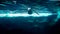 Underwater image of penguin swimming near the big iceberg in cold ocean water