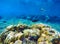 Underwater landscape with coral reef and coral fishes. Vibrant undersea view digital illustration.