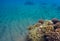 Underwater landscape with sand and coral reef. Blue clean water of tropical sea.