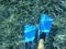 Underwater life - blue swimfins on water plants background in Kolona double bay Kythnos island Cyclades Greece, Aegean sea.