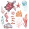 Underwater life - shells, turtle, plants, corals, fish. Set of watercolor hand drawn illustrations