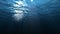 Underwater low motion looped ocean scene