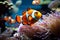 Underwater magic Clown fish explore a lively, colorful coral reef