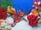 underwater marine colorful coral stone colony closeup (calcium carbonate), beautiful water life diversity,